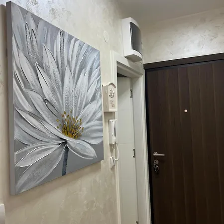 Stan Na Dan, Beograd-zarkovo